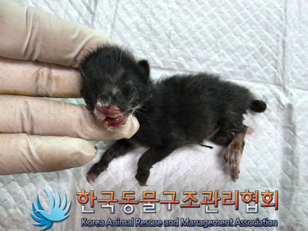 종료(자연사) 한국…